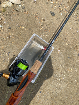 土日より平日の方がハゼクラは釣れる。