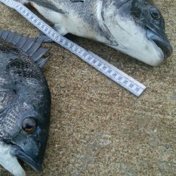 『釣りデビュー❤』180日目⭐