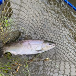 黒保根渓流フィッシング