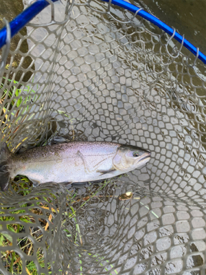 黒保根渓流フィッシング