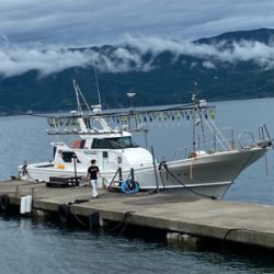 イカメタルで大剣