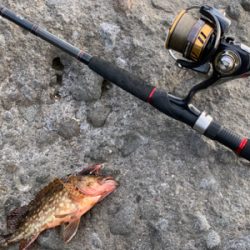 ライトショアジギング