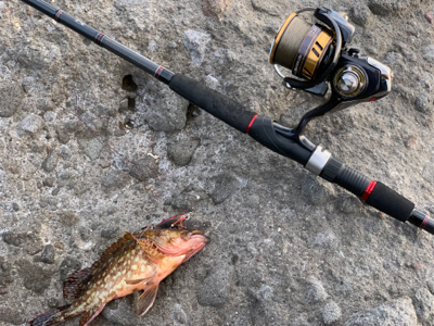 ライトショアジギング