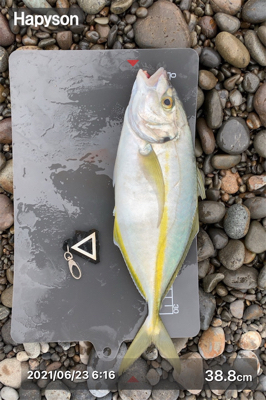 シマアジ狙いで！