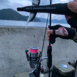 ウルトラライトゲーム