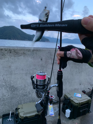 ウルトラライトゲーム