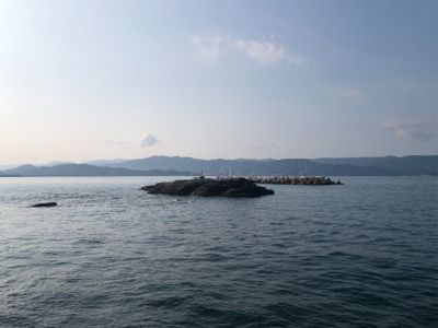 ツバスナブラも20分