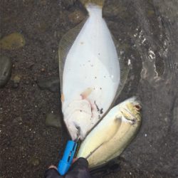 南紀の海でのんびり