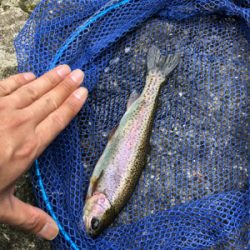 菅釣りも楽しいよ~!