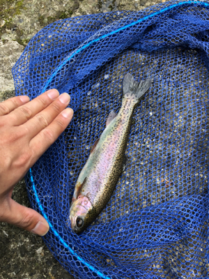 菅釣りも楽しいよ~！