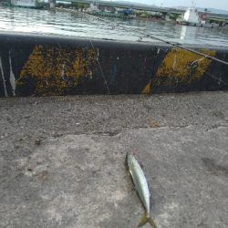 いろんな竿の調子を、楽しんで