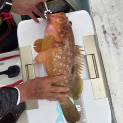 ライトジギング&タイラバ&飲ませ釣り