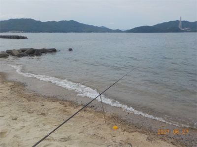 キス苦戦後、初登場2匹