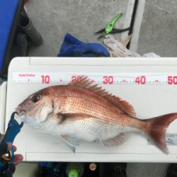 久々のヒトツテンヤ