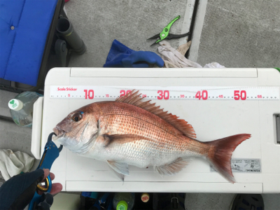 久々のヒトツテンヤ