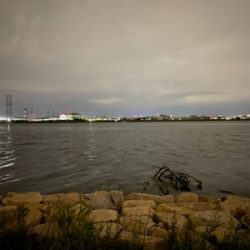 淀川ブリームゲーム