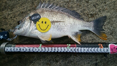 『釣りデビュー♡』188日目！！