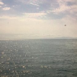 釣れるかな❗️