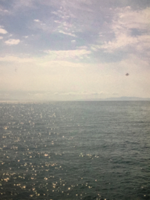 釣れるかな❗️