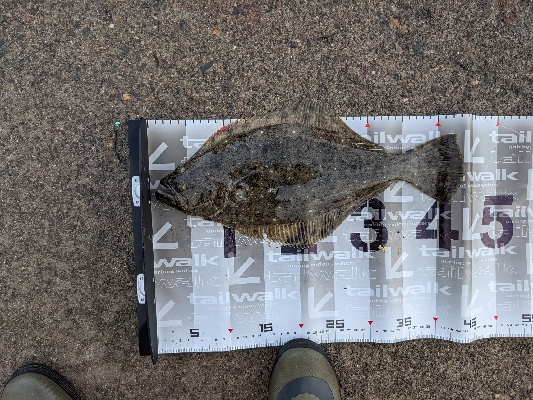 雨上がりを狙って