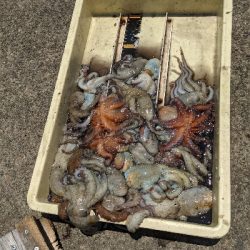 岸和田一文字カーブ