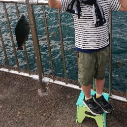 今年初のサビキ釣り