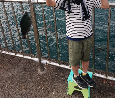 今年初のサビキ釣り