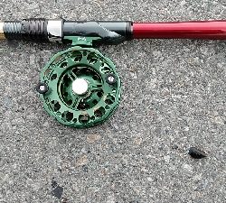 隔週で奴がくるのか？