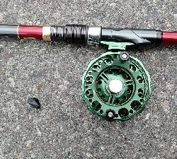 今回はボラでした