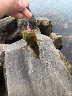 ええ穴釣りポイント発見