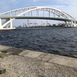 初舞洲にやって来ました