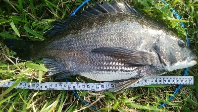 『釣りデビュー❤』178日目…