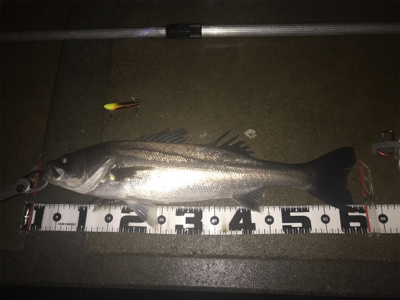 痛恨のラインブレイク⤵︎