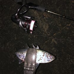 2021 佐渡ヶ島ライトゲーム&エギング