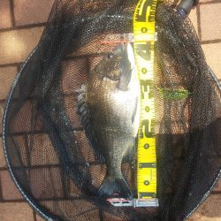 1時間で　～辰巳橋～