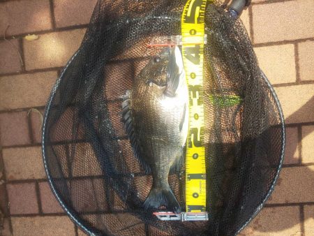 1時間で　～辰巳橋～