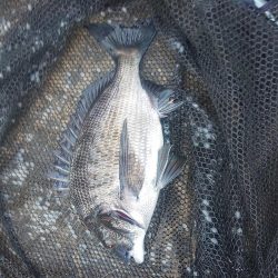 小場所ですが　～塩浜～