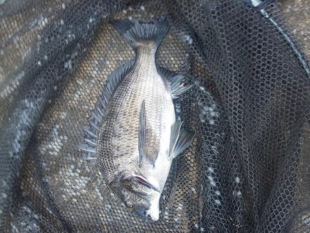 小場所ですが　～塩浜～