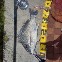 楽しめて1日　～辰巳橋・さざなみ公園～