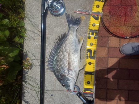 楽しめて1日　～辰巳橋・さざなみ公園～