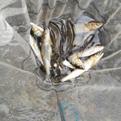 令和3年 祝! 解禁