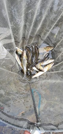 令和3年 祝! 解禁