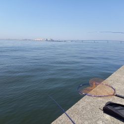 ショアジギング不発