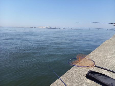 ショアジギング不発