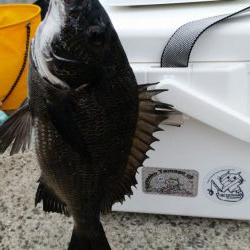 紀州釣りに挑戦！！