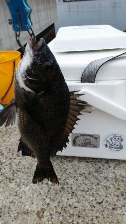 紀州釣りに挑戦！！