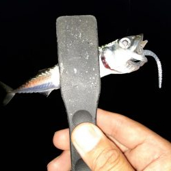 ライトゲーム37