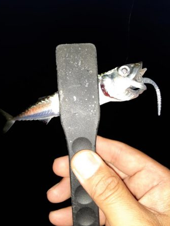 ライトゲーム37