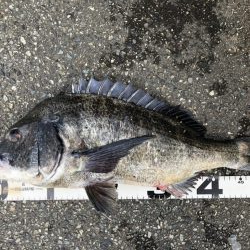 イチノ兄弟、釣果！