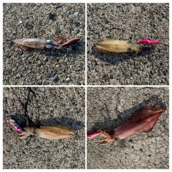 久しぶりの遠征